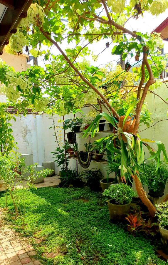 Guesthouse Kind And Love Хиккадува Экстерьер фото