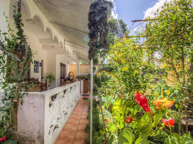 Guesthouse Kind And Love Хиккадува Экстерьер фото